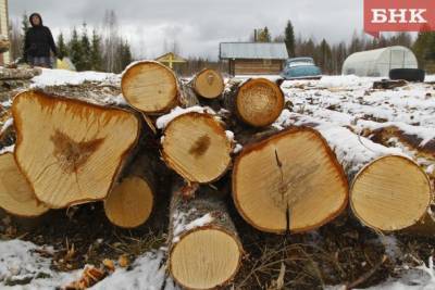 Лесозаготовители Коми рассказали, какие проблемы мешают обеспечивать людей дровами