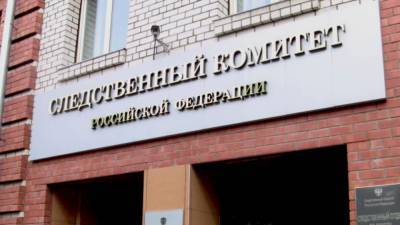 СК добивается ареста члена УИК Пичужина за нападение на бойца ОМОН в Москве