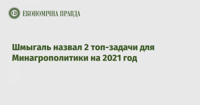 Шмыгаль назвал 2 топ-задачи для Минагрополитики на 2021 год