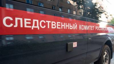 СК ходатайствовал об аресте члена УИК Пичужина по делу о незаконной акции в Москве