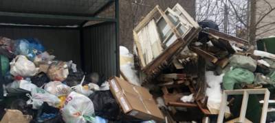 Стало известно, почему образовалась свалка мусора в центре Петрозаводска