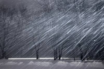 Погода в Ленобласти: снегопад и усиление ветра ожидаются с 4 по 6 марта