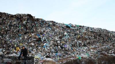 Эксперт по охране природы объяснил, почему россияне против мусоросжигательных заводов