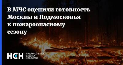В МЧС оценили готовность Москвы и Подмосковья к пожароопасному сезону