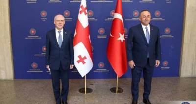 Торговые отношения, партнерство и перспективы – что обсудили главы МИД Грузии и Турции