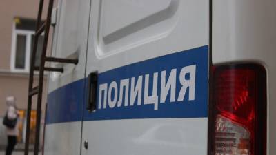 Полиция в Петербурге задержала подозреваемую в избиении блокадницы женщину
