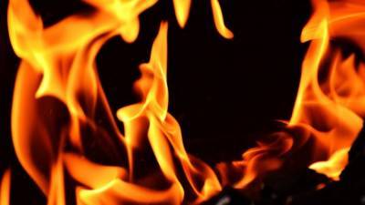 Спасатели ликвидировали крупный пожар в гаражной секции в Ленобласти