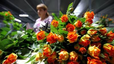 Эксперты заявили о росте цен на цветы в России