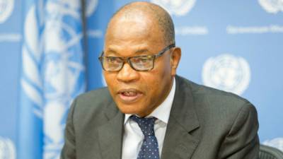 Представитель ООН призвал принять новую конституцию Гамбии до президентских выборов