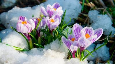 "Реванш" зимы перед 8 марта: в Украине резко изменится погода, придут осадки и похолодание