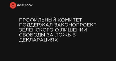 Профильный комитет поддержал законопроект Зеленского о лишении свободы за ложь в декларациях