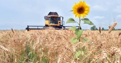 Судьба урожая. Смогут ли украинские аграрии в этом году собрать рекордный урожай и выгодно его продать