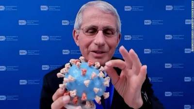 3D-модель коронавируса COVID-19 передали в музей американской истории