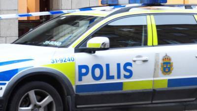 Полиция Швеции уточнили данные по нападению с ножом