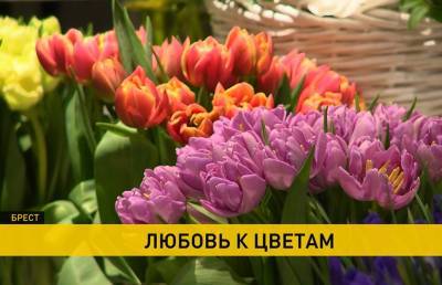 Тюльпаны, розы и мимозы. Как белорусы выращивают цветы и какие букеты сейчас в тренде?