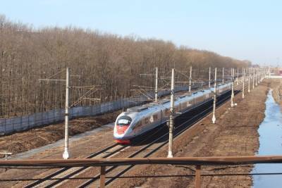 В Тверской области из-за задержки двух «Сапсанов» опаздывали поезда