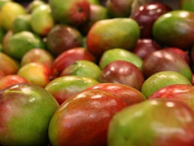 «Много преимуществ, кроме цены»: диетолог назвала защищающий от старения фрукт