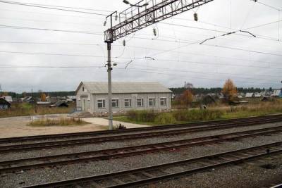 В Плесецком районе поезд насмерть сбил женщину
