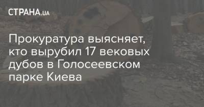 Прокуратура выясняет, кто вырубил 17 вековых дубов в Голосеевском парке Киева