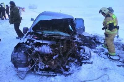 Женщина с тремя детьми попала в смертельное ДТП на трассе в Новосибирской области