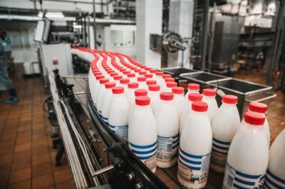 Российские производители сообщили о риске подорожания молочной продукции