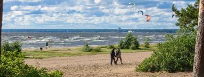 За мечтой на курорт: спрос на какие загородные дома и локации взлетел в Петербурге