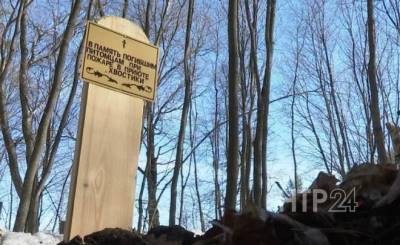В память о погибших животных в приюте под Нижнекамском установили памятник