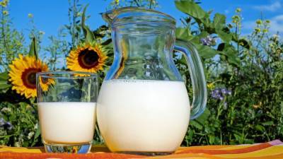 Правительство РФ опровергло возможность роста цен на молоко из-за экосбора