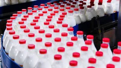 Правительство РФ опровергло сообщения об увеличении цен на молоко из-за экосбора