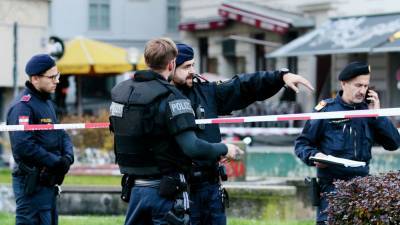 Жестокое избиение украинских подростков в Австрии: нападение могла совершить банда из 7 человек