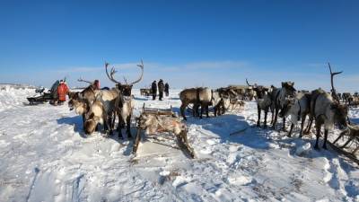 Ямальские оленеводы получили снегоходы от "Транснефть – Сибирь"