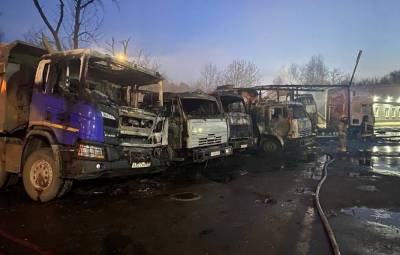 В промзоне на северо-востоке Москвы сгорели порядка 25 грузовиков
