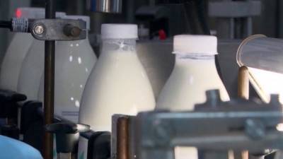Правительство опровергло сообщения СМИ о подорожании молока из-за экосбора