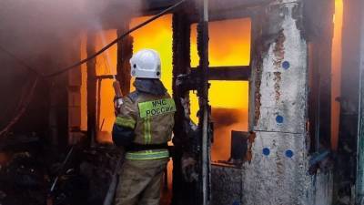 Женщина с детьми погибла при пожаре в Пермском крае
