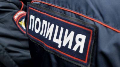 Жена мэра Томска Кляйна призналась в нападении на полицейского во время обыска