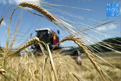 Дагестан за два месяца 2021 года произвел сельхозпродукции на 6,5 млрд рублей