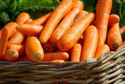 Морковь укрепляет организм, снижает риск развития рака и способствует долголетию