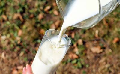 В России есть риск подорожания молока на 10-15%