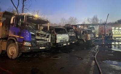 В Москве в промзоне сгорело около 25 грузовиков