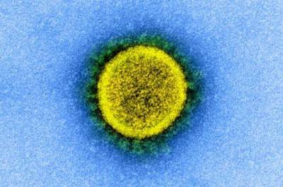 Ученые рассказали о последствиях от коронавируса для мозга