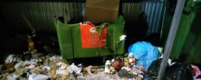Вандалы в Кирове разгромили 93 контейнера «Куприта» за месяц