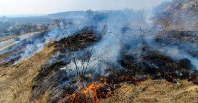 В Полтавской области заживо сгорел мужчина, который сжигал кукурузу