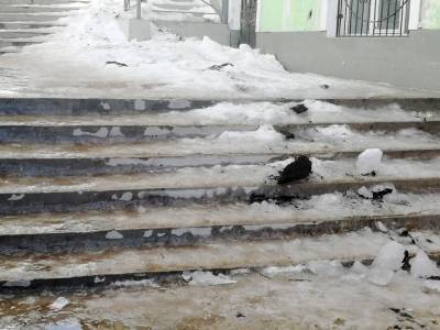 Журналист Кунгурской «Искры», преодолевая лестничный пролет по одной из центральных улиц Кунгура, повредила ногу. Когда город займется благоустройством?