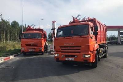 За невывоз мусора дачников Карелии оштрафуют на 100 тысяч рублей