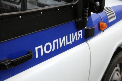 Петербуржец, напавший с ножом на водителя маршрутки, задержан Новогорелове