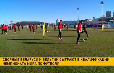 Сборные Беларуси и Бельгии сыграют в квалификации Чемпионата мира по футболу