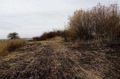 С жителя Белгородской области требуют 17 млн рублей за поджог поля с сорняком