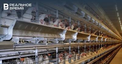 Аграриям продлили срок погашения кредитов из-за убытков от птичьего гриппа