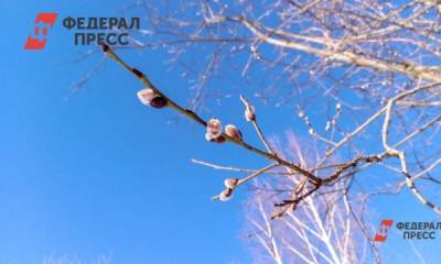 Росгидромет дал прогноз на апрель в Кемерове и Новосибирске