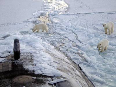 В The Drive озадачены военными учениями подлодок России в Арктическом регионе